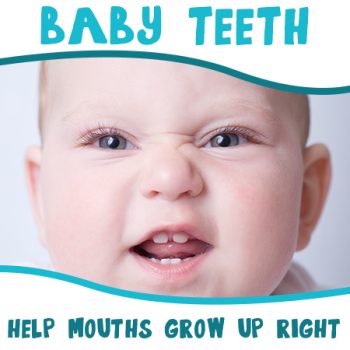 Bountiful dentist, Dr. Anthony Baird at Millcreek Family Dental, discusses the importance of baby teeth in setting the stage for good oral health later in life.