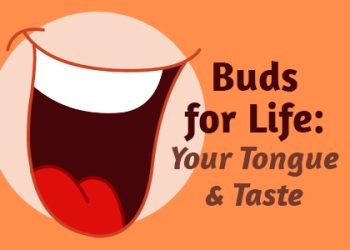 Bountiful dentist, Dr. Anthony Baird at Millcreek Family Dental , takes a moment to talk about what’s responsible for your love and dislike of certain foods: taste buds!